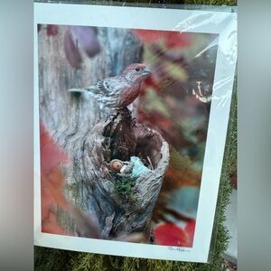 David Bird House Finch Becorn Art Print